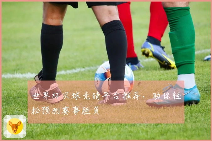世界杯买球竞猜平台推荐，助你轻松预测赛事胜负