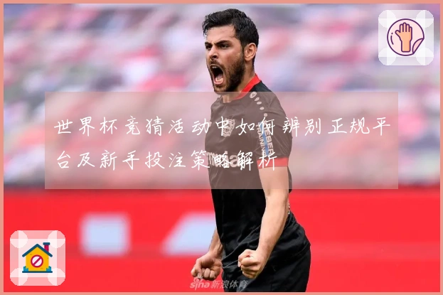世界杯竞猜活动中如何辨别正规平台及新手投注策略解析