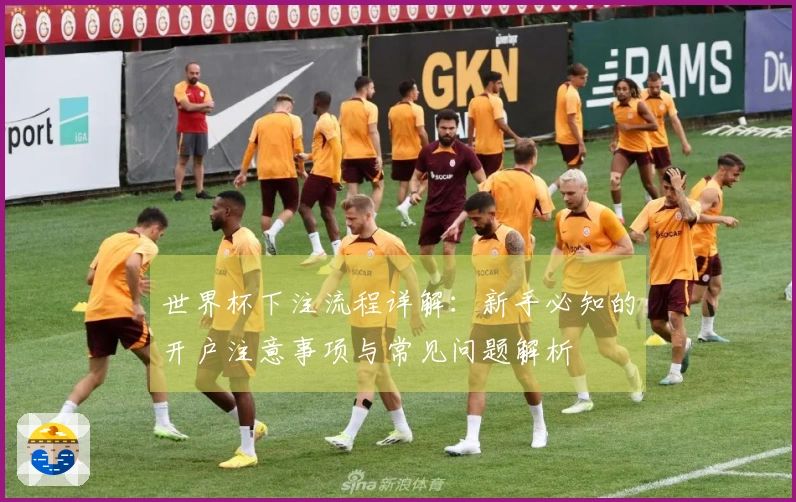 世界杯下注流程详解：新手必知的开户注意事项与常见问题解析