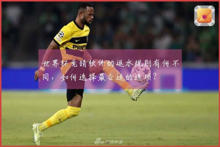 世界杯竞猜软件的返水规则有何不同，如何选择最合适的选项？